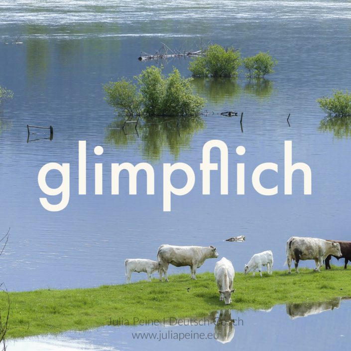 glimpflich | De mooiste Duitse woorden | Julia Peine Deutsch Coach | Utrecht | Leidsche Rijn
