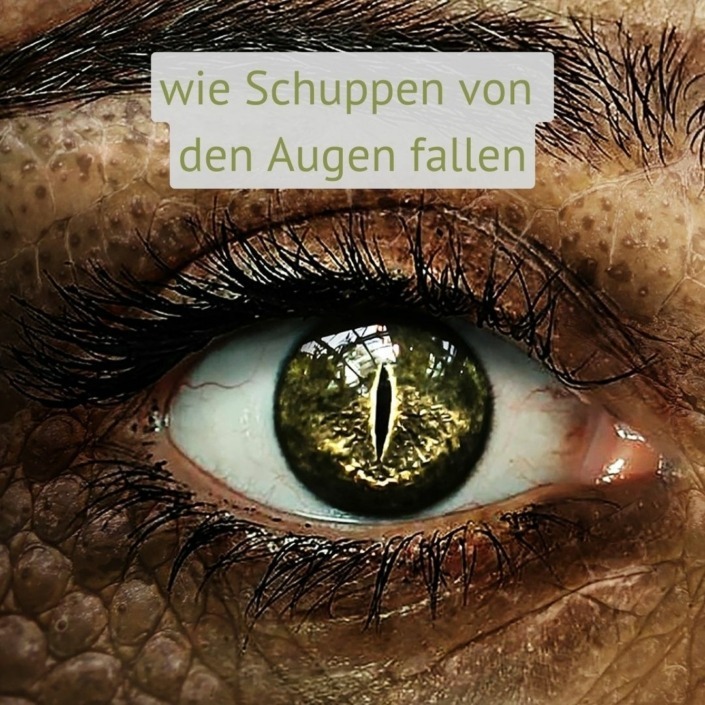 wie Schuppen von den Augen fallen | De mooiste Duitse uitdrukkingen | Julia Peine Deutsch Coach | Utrecht | Leidsche Rijn